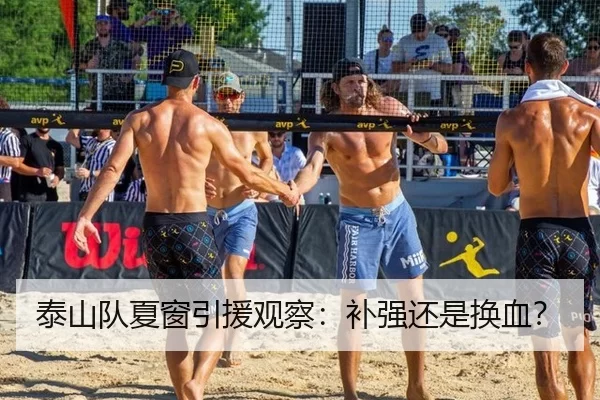 泰山队夏窗引援观察：补强还是换血？